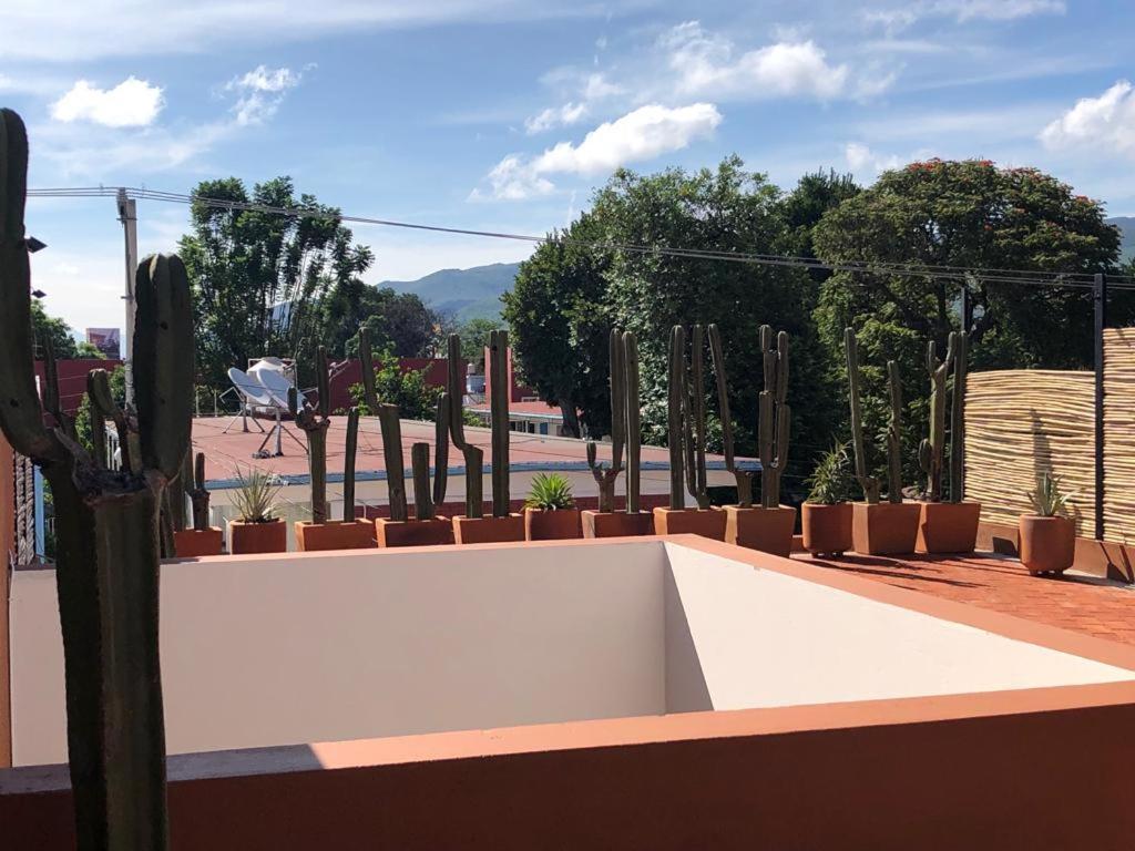 شقة Casa Cronica Oaxaca المظهر الخارجي الصورة